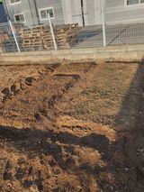 정병학님의 작성글 사진