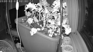 정종배님의 기타작물 · 영농일지 작성글 사진