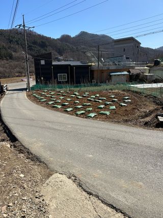 이익수님의 마늘 · 영농일지 작성글 사진