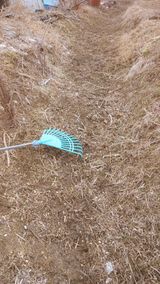 팜모닝 기타작물·영농일지 게시글 이미지