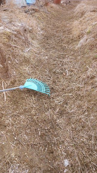 강성흔목사 님의 기타작물 · 영농일지 작성글 사진