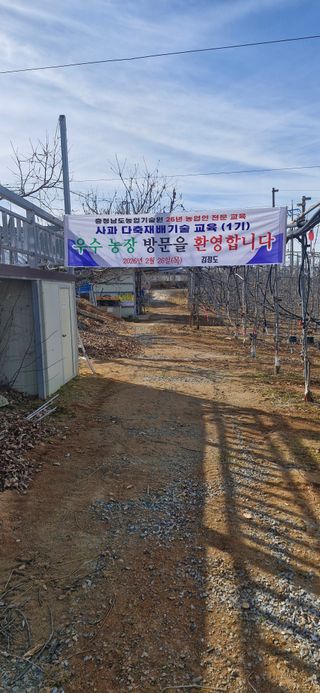 김정도님의 사과 · 영농일지 작성글 사진