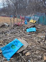 팜모닝 기타작물·영농일지 게시글 이미지