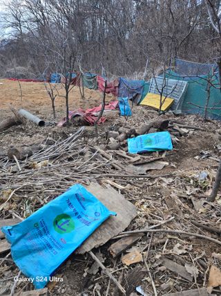 소병찬님의 기타작물 · 영농일지 작성글 사진