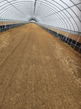 김저팔계님의 기타작물 · 영농일지 작성글 사진