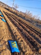 팜모닝 기타작물·영농일지 게시글 이미지