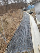 팜모닝 마늘·영농일지 게시글 이미지