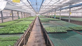 신동원님의 오이 · 영농일지 작성글 사진