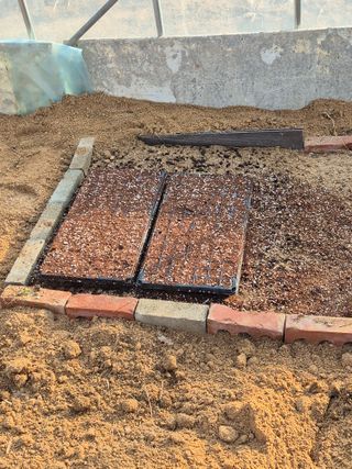 김용민님의 기타작물 · 영농일지 작성글 사진