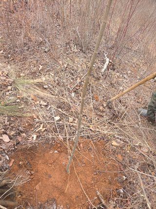 서성환님의 기타작물 · 영농일지 작성글 사진