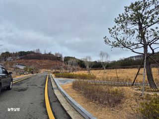 늘햇살팜 님의 기타작물 · 영농일지 작성글 사진