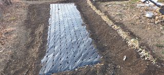 통영바닷가님의 기타작물 · 영농일지 작성글 사진