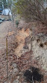 팜모닝 두릅·영농일지 게시글 이미지