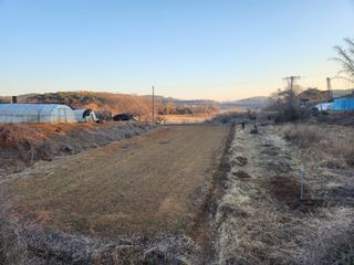 벙개도리님의 작성글 사진