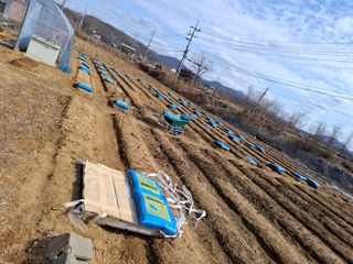 백영호님의 기타작물 · 영농일지 작성글 사진