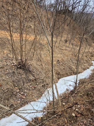 엉뚱님의 기타작물 · 영농일지 작성글 사진
