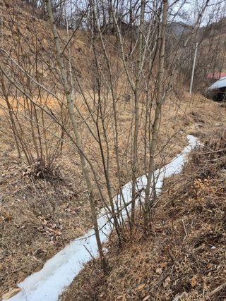 엉뚱님의 기타작물 · 영농일지 작성글 사진