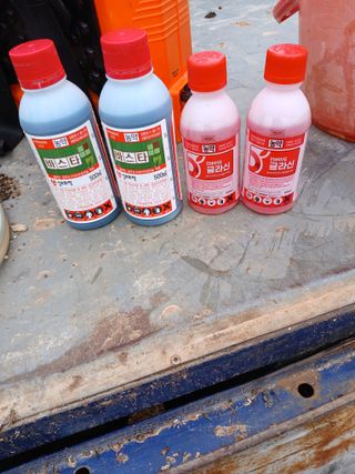 최유순님의 기타작물 · 영농일지 작성글 사진