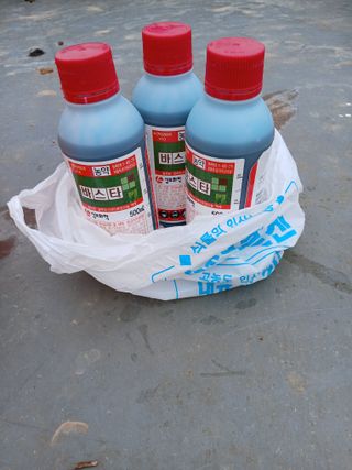 최유순님의 기타작물 · 영농일지 작성글 사진