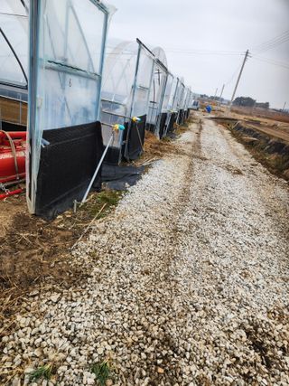 김저팔계님의 기타작물 · 영농일지 작성글 사진