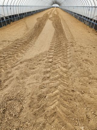 김저팔계님의 기타작물 · 영농일지 작성글 사진