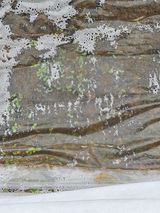 팜모닝 기타작물·영농일지 게시글 이미지