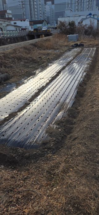 통영바닷가님의 기타작물 · 영농일지 작성글 사진