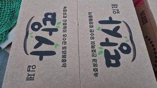 백보승님의 기타작물 · 영농일지 작성글 사진