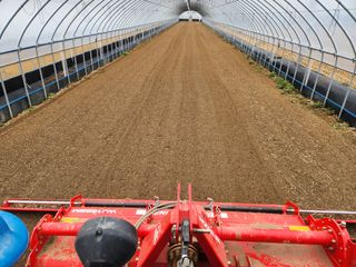 김저팔계님의 기타작물 · 영농일지 작성글 사진