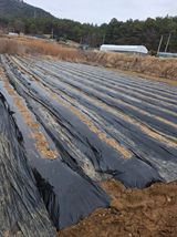 팜모닝 감자·영농일지 게시글 이미지