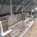 팜모닝 기타작물·영농일지 게시글 이미지