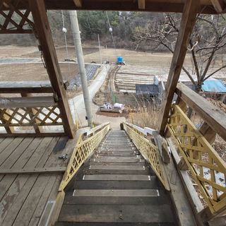 가로수님의 기타작물 · 영농일지 작성글 사진