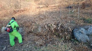 이순기님의 두릅 · 영농일지 작성글 사진