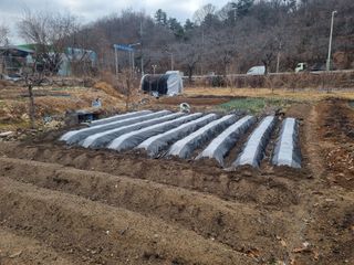 양길호님의 기타작물 · 영농일지 작성글 사진