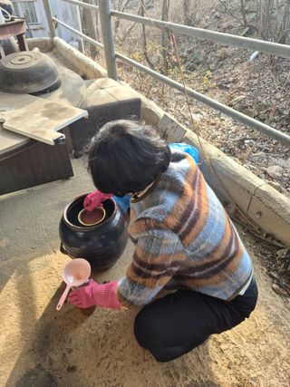 엉뚱님의 기타작물 · 영농일지 작성글 사진
