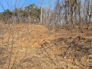 엉뚱님의 기타작물 · 영농일지 작성글 사진