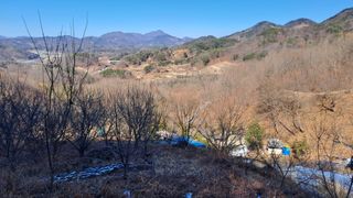 월굴리이승재님의 기타작물 · 영농일지 작성글 사진