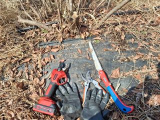 황인근님의 블루베리 · 영농일지 작성글 사진