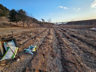 전찬우님의 두릅 · 영농일지 작성글 사진