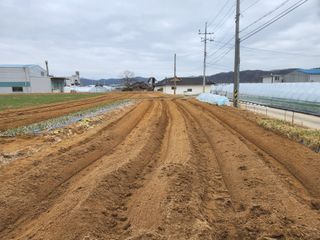 노복우님의 감자 · 영농일지 작성글 사진