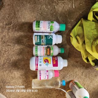 김성훈님의 기타작물 · 영농일지 작성글 사진