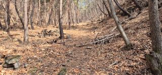 정진필님의 기타작물 · 영농일지 작성글 사진