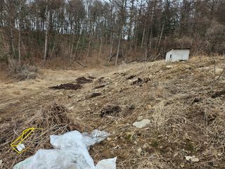 불기산님의 두릅 · 영농일지 작성글 사진