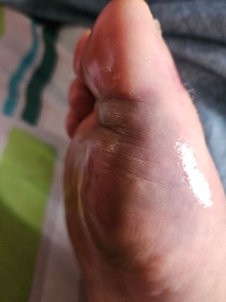 고사리.밤.육쪽마늘님의 배추 · 영농일지 작성글 사진