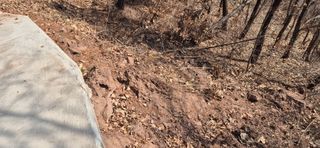 정진필님의 기타작물 · 영농일지 작성글 사진