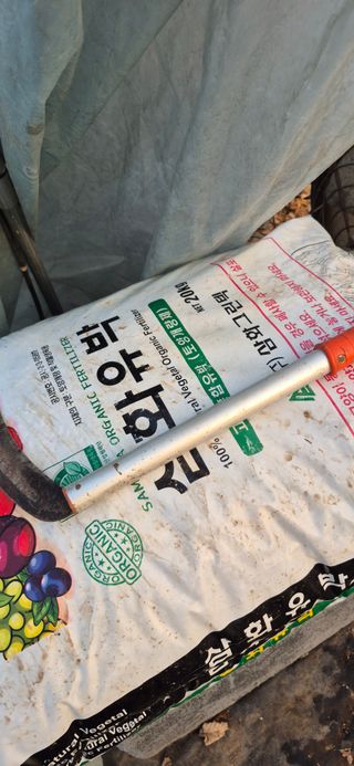 노오길님의 두릅 · 영농일지 작성글 사진