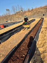 팜모닝 블루베리·영농일지 게시글 이미지