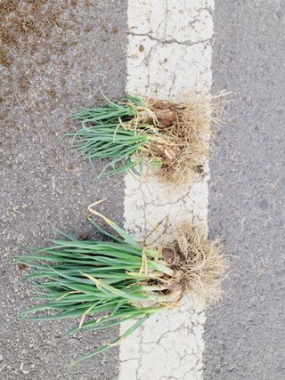 한경훈님의 작성글 사진