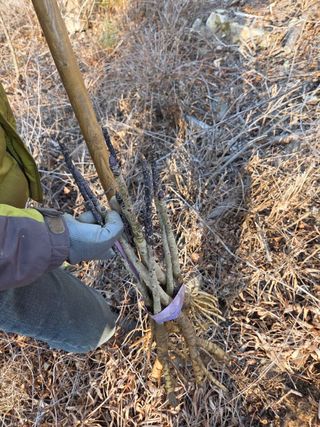 서성환님의 기타작물 · 영농일지 작성글 사진