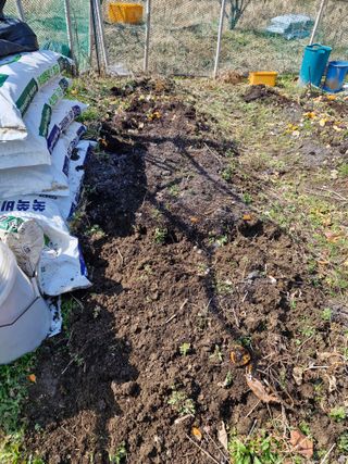 매실향기차향기님의 작성글 사진